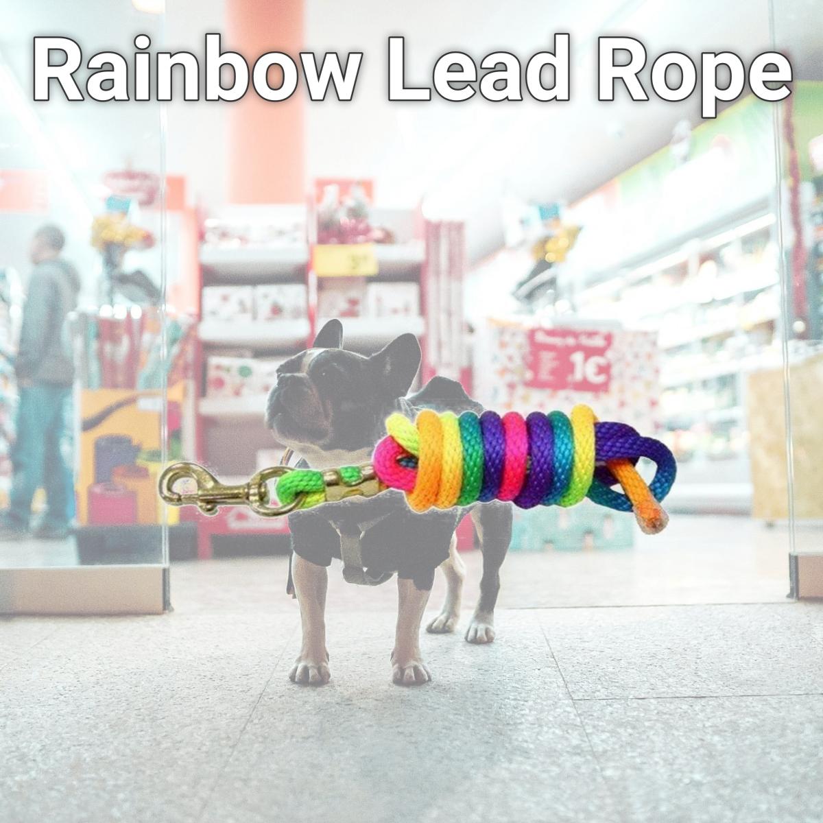 Picture of Jacks 2070 Rainbow Lead Rope