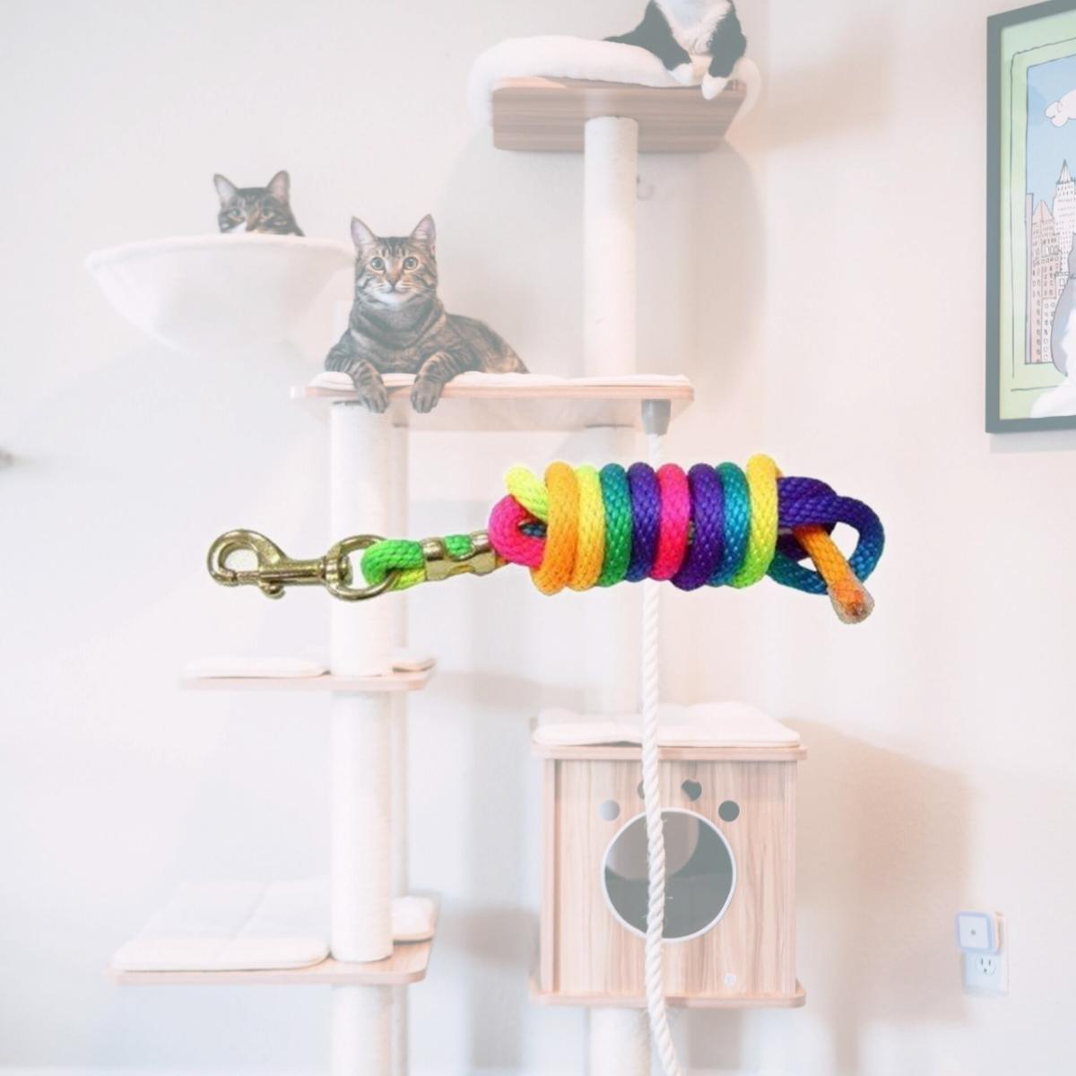 Picture of Jacks 2070 Rainbow Lead Rope