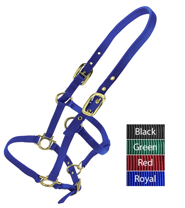 Picture of Valhoma 3364-RY Weanling Halter&#44; Royal Blue - 200-300 lbs