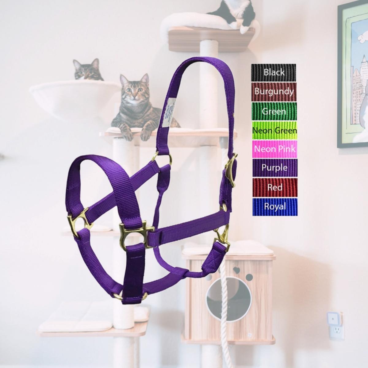 Picture of Valhoma 3492-BK-L QS Halter, Black - 1100-1500 lbs - Large