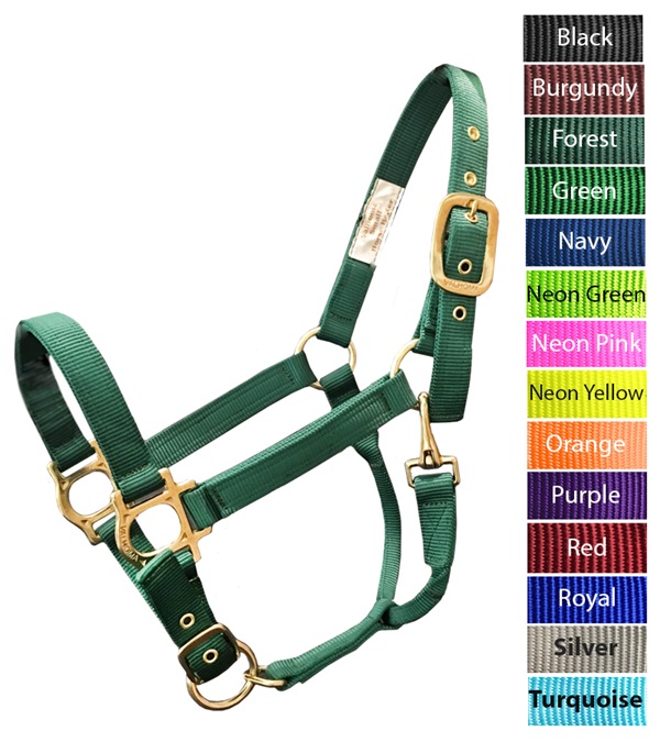 Picture of Valhoma 3360-FO-M BACS Halter&#44; Forest - 800-1100 lbs - Medium