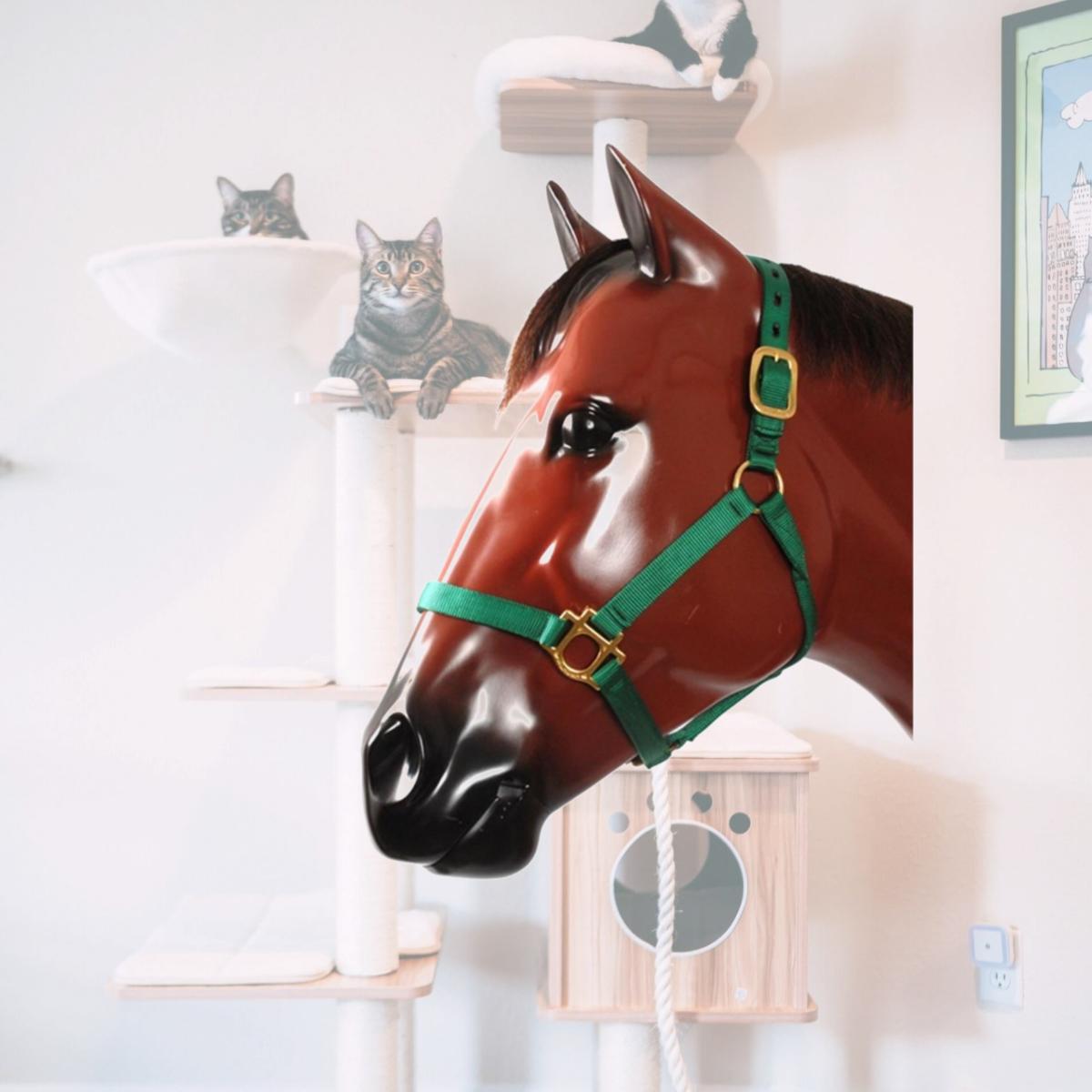 Picture of Valhoma 1990-GN-L T Green Halter - 1100-1500 lbs - Large