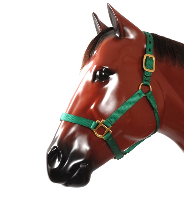 Picture of Valhoma 1990-PU-L T Purple Halter - 1100-1500 lbs - Large