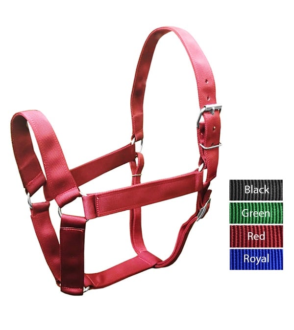 Picture of Valhoma 1991-BK Draft Horse Extra Wide Halter, Black