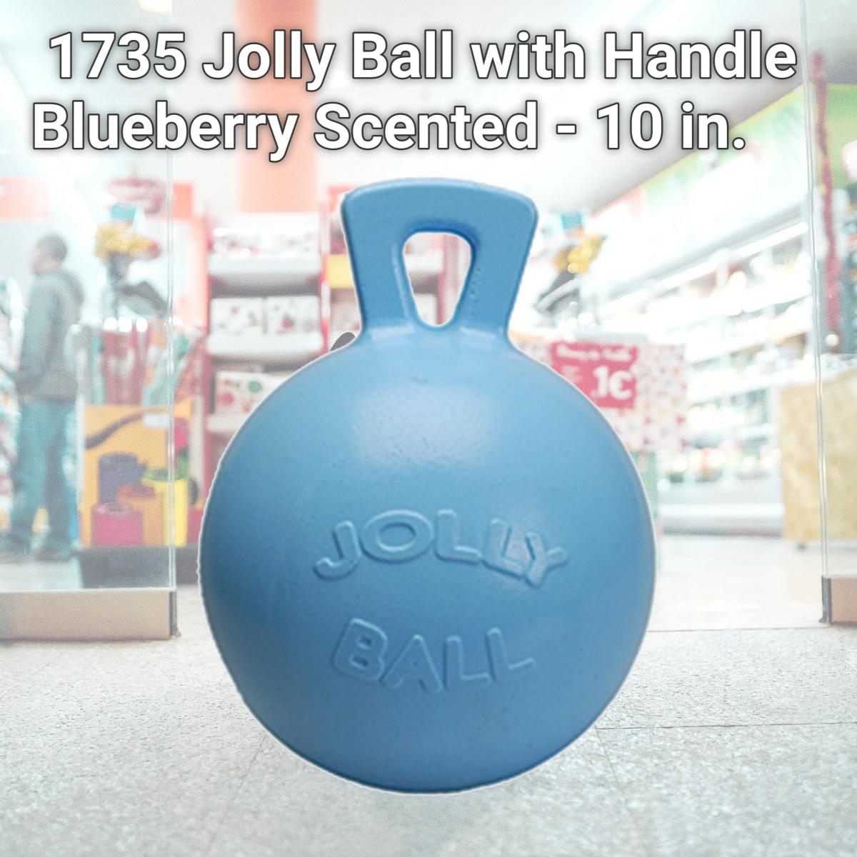 Picture of Horsemens Pride 1735 Jolly Ball with Handle Blueberry Scented - 10 in.