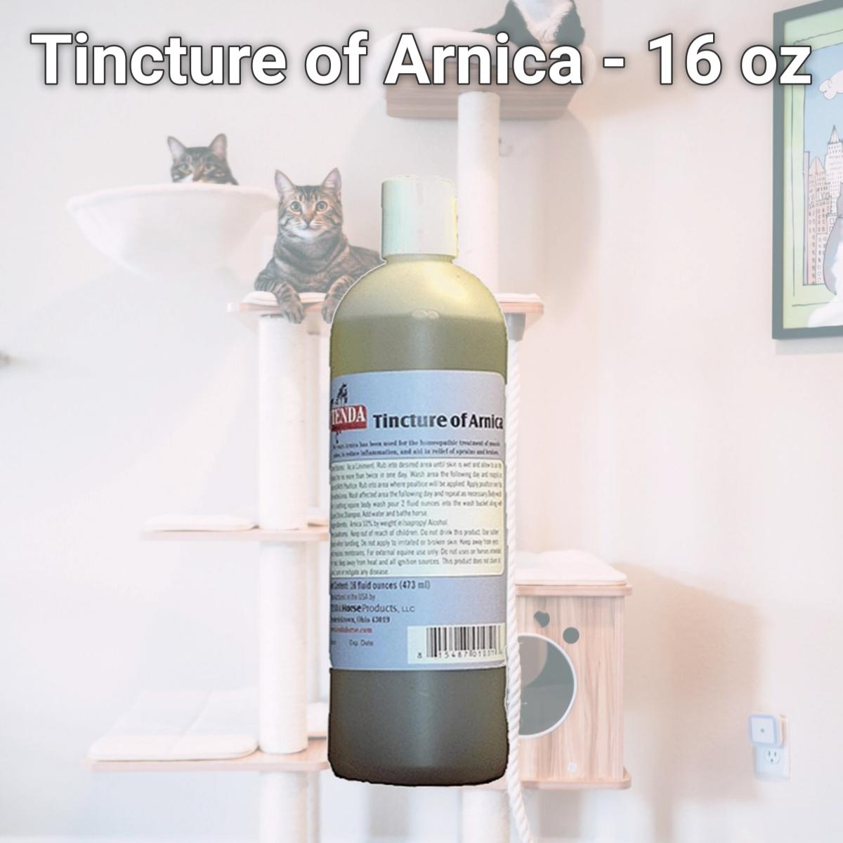 Picture of Tenda 1982 Tincture of Arnica - 16 oz