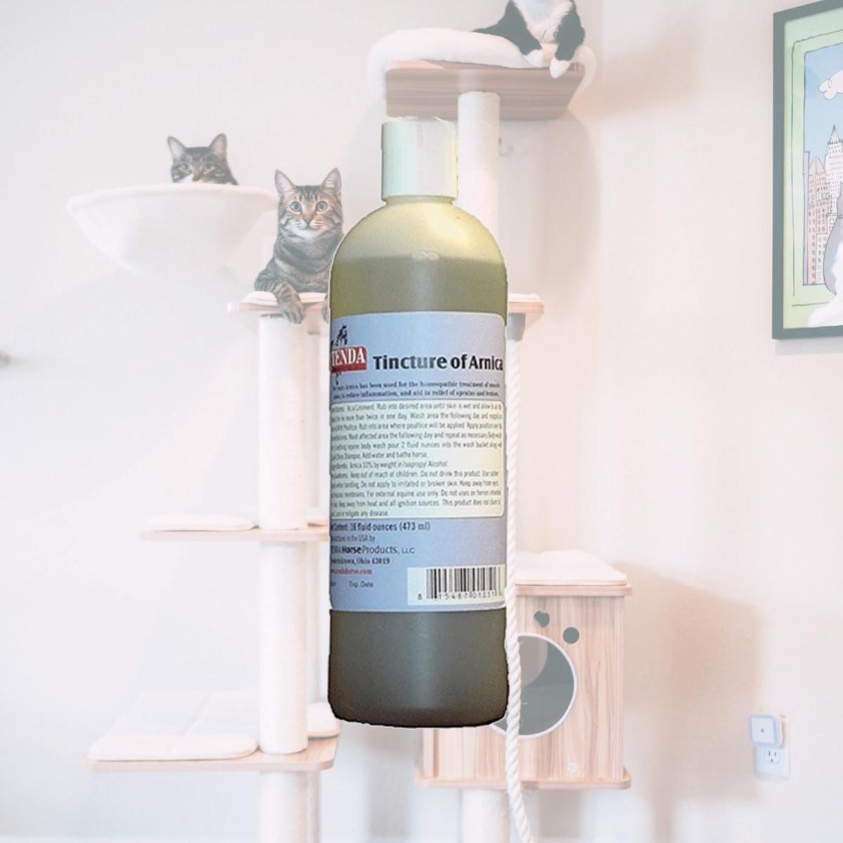 Picture of Tenda 1982 Tincture of Arnica - 16 oz