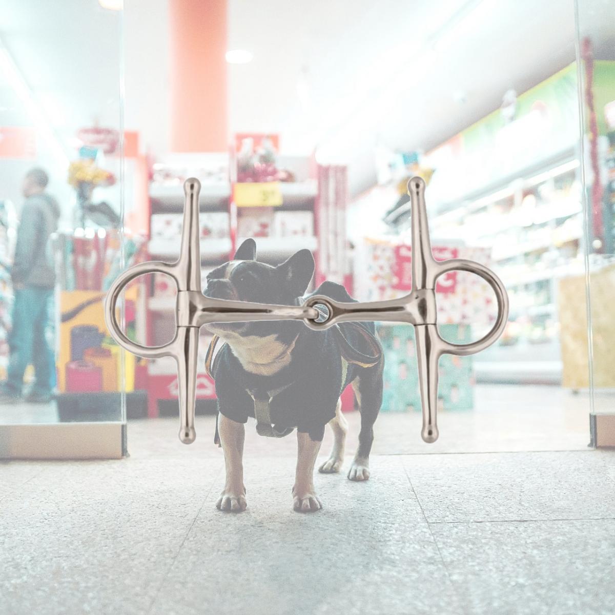 Picture of Jacks 10177-4 Full Cheek Snaffle Bit - 4 in. Pony