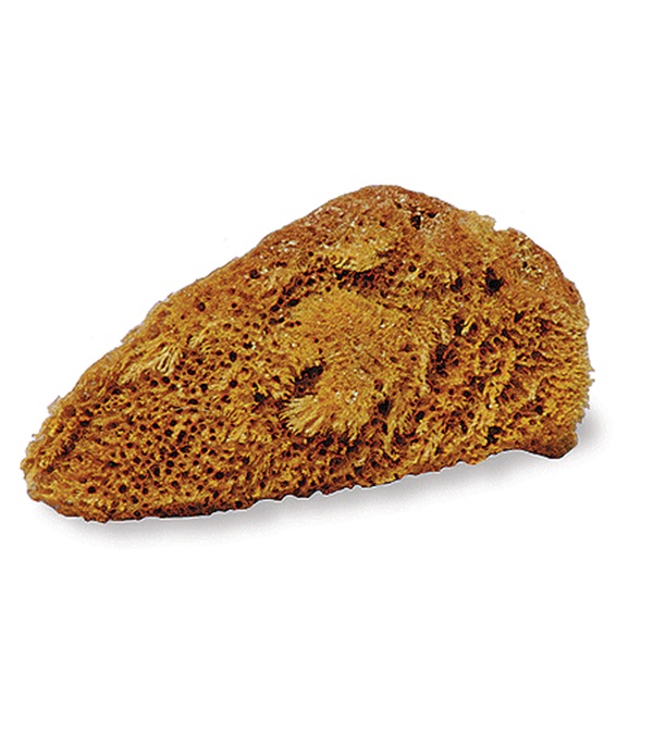 10313 Natural Tack Sponge