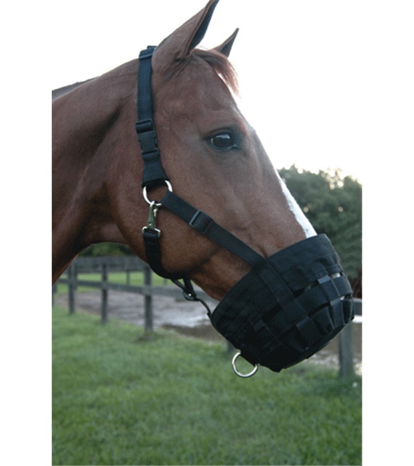 Picture of Jacks 160-H Web Muzzle - Horse