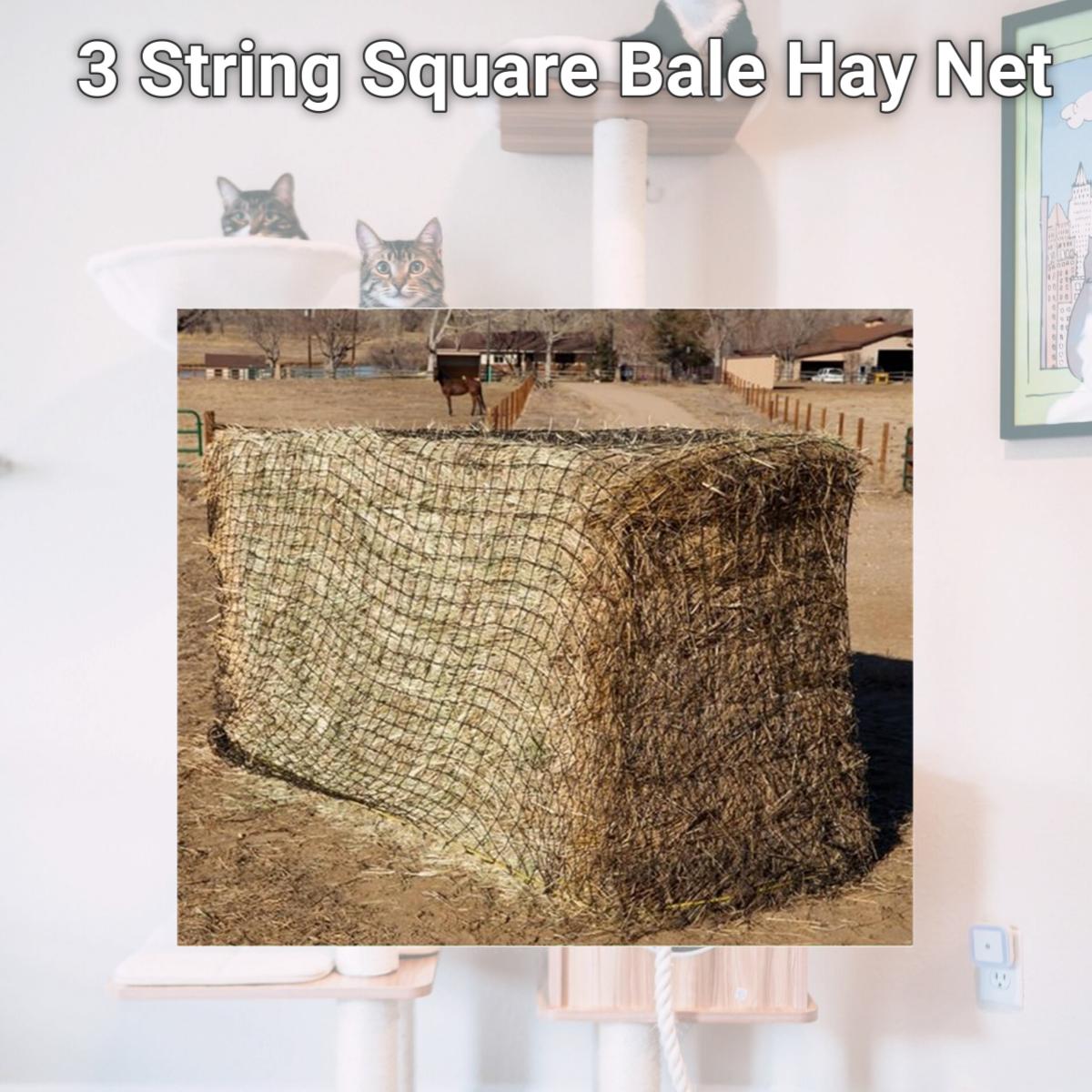 Picture of Texas Haynet 3704 3 String Square Bale Hay Net