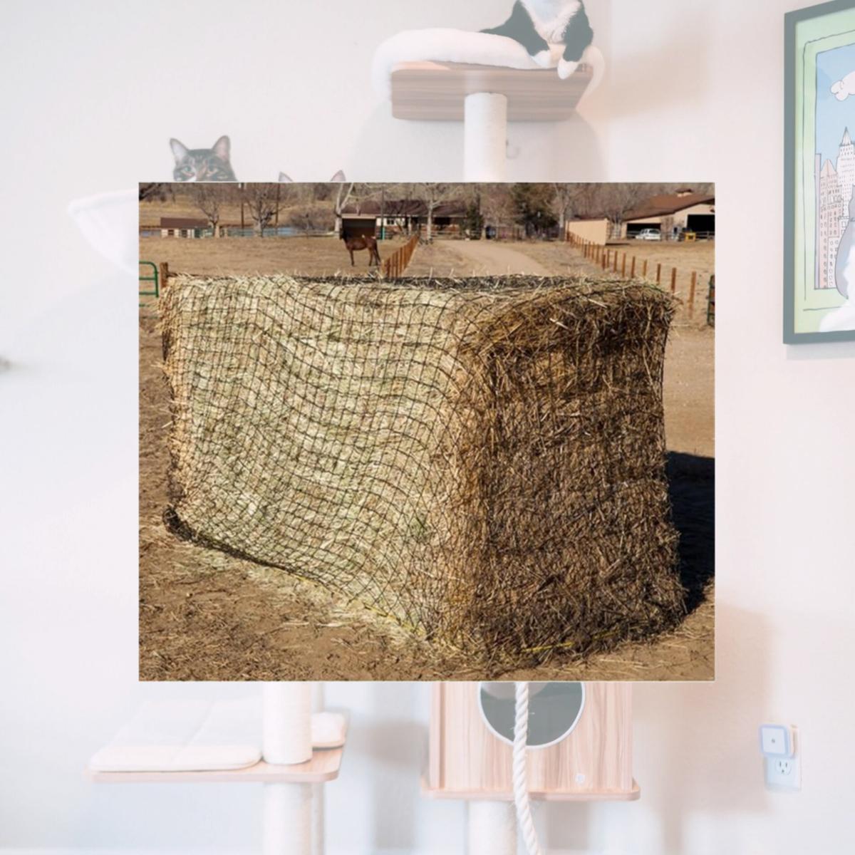 Picture of Texas Haynet 3704 3 String Square Bale Hay Net
