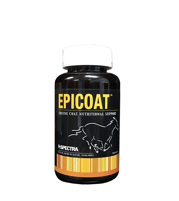 Picture of Spectra 40315 Epicoat - 6.5 oz