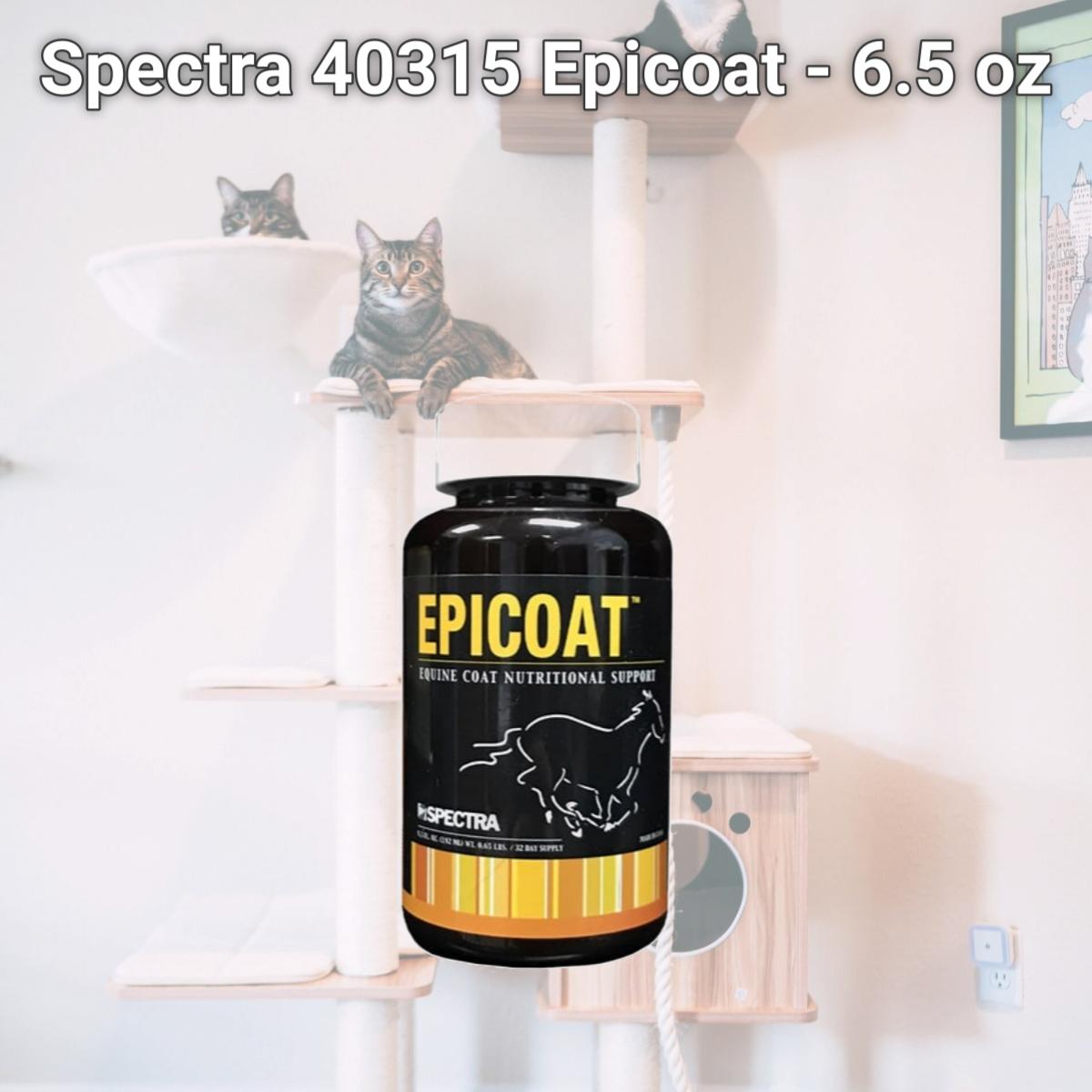 Picture of Spectra 40315 Epicoat - 6.5 oz