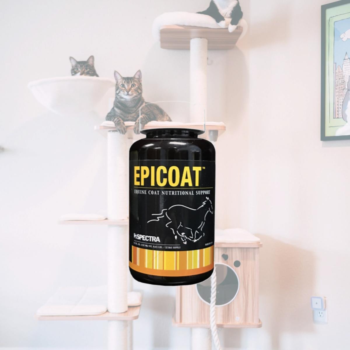Picture of Spectra 40315 Epicoat - 6.5 oz