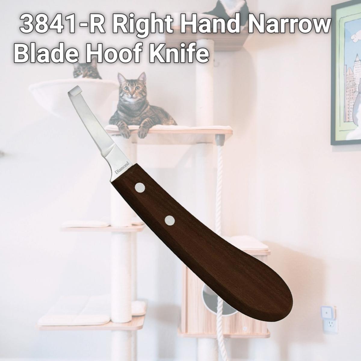 Picture of Diamond Farrier 3841-R Right Hand Narrow Blade Hoof Knife
