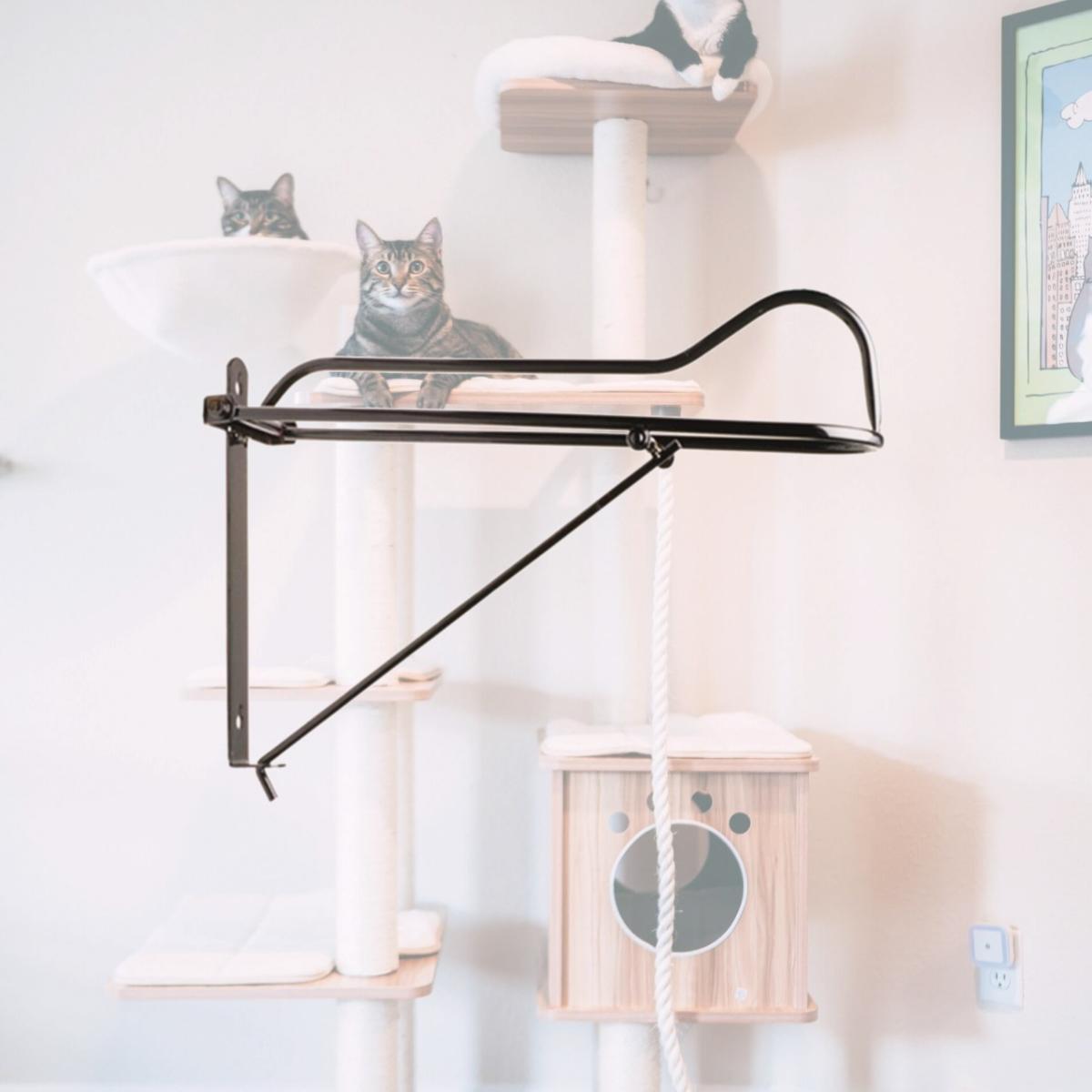 Picture of Jacks 10445-BK Collapsible Saddle Rack, Black