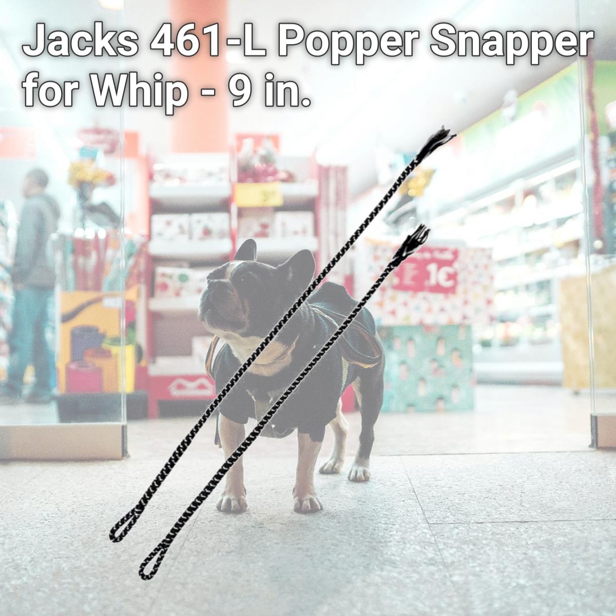 Picture of Jacks 461-L Popper Snapper for Whip - 9 in.