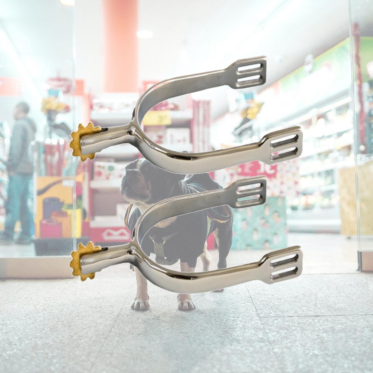 Picture of Jacks Imports 107-M Stainless Steel German Spurs - Mens