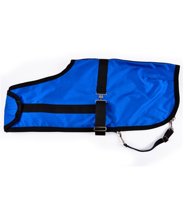 10523-RY-BK Expandable Foal Blanket, Royal Blue & Black