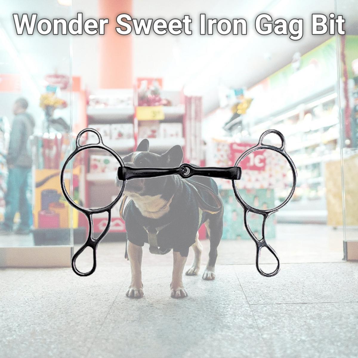 Picture of Jacks Imports 10535 Wonder Sweet Iron Gag Bit