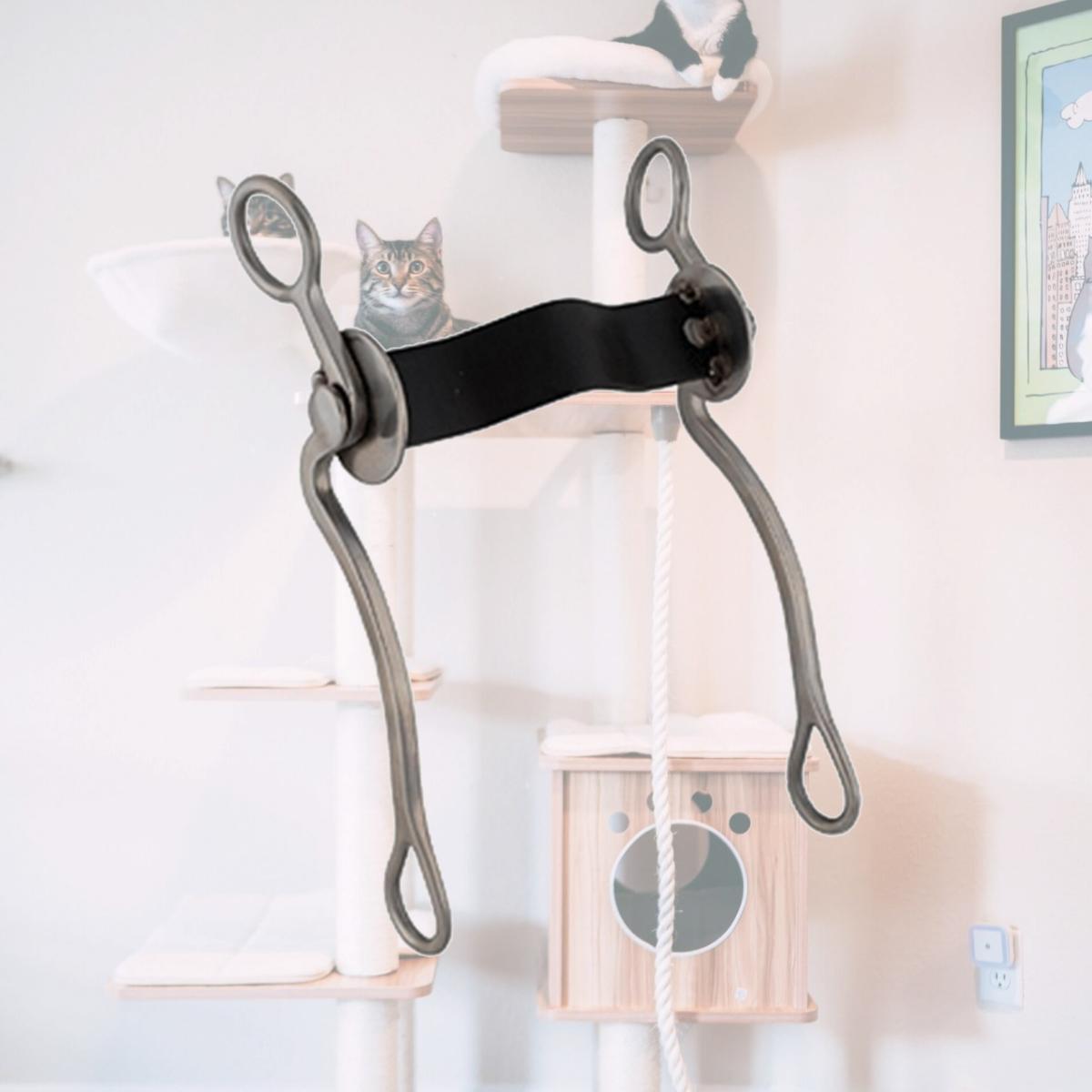 Picture of Jacks Imports 10537 Rutledge Bit with 5 in. Mouth & Stainless Steel Shanks