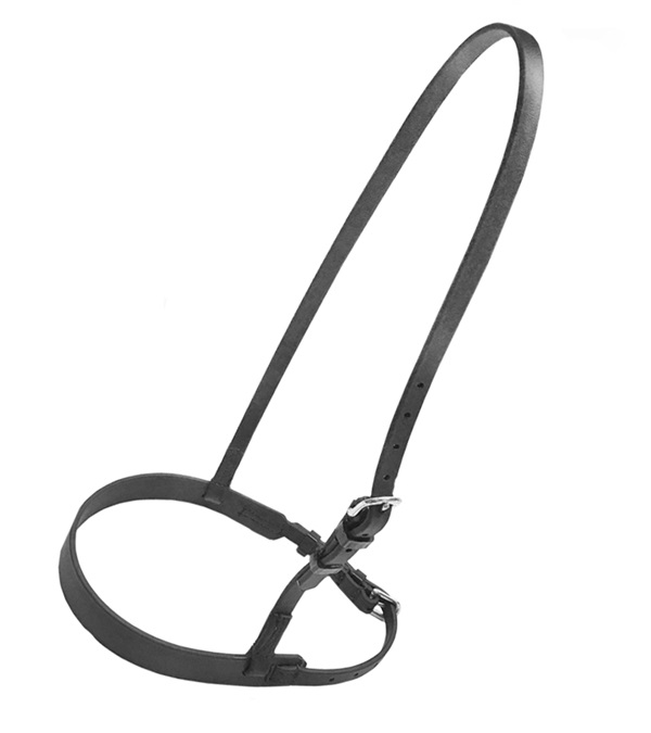 3352-H Beta Training Caveson - Horse