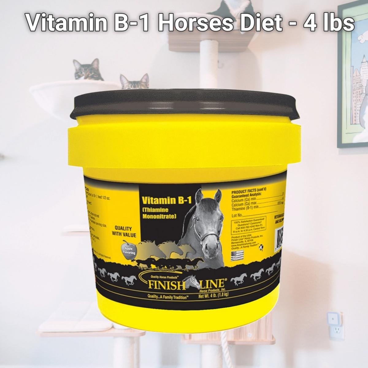 Picture of Finish Line 2863 Vitamin B-1 Horses Diet - 4 lbs