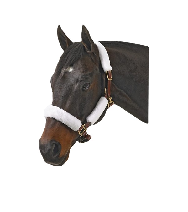 211-WH Halter Kit, White