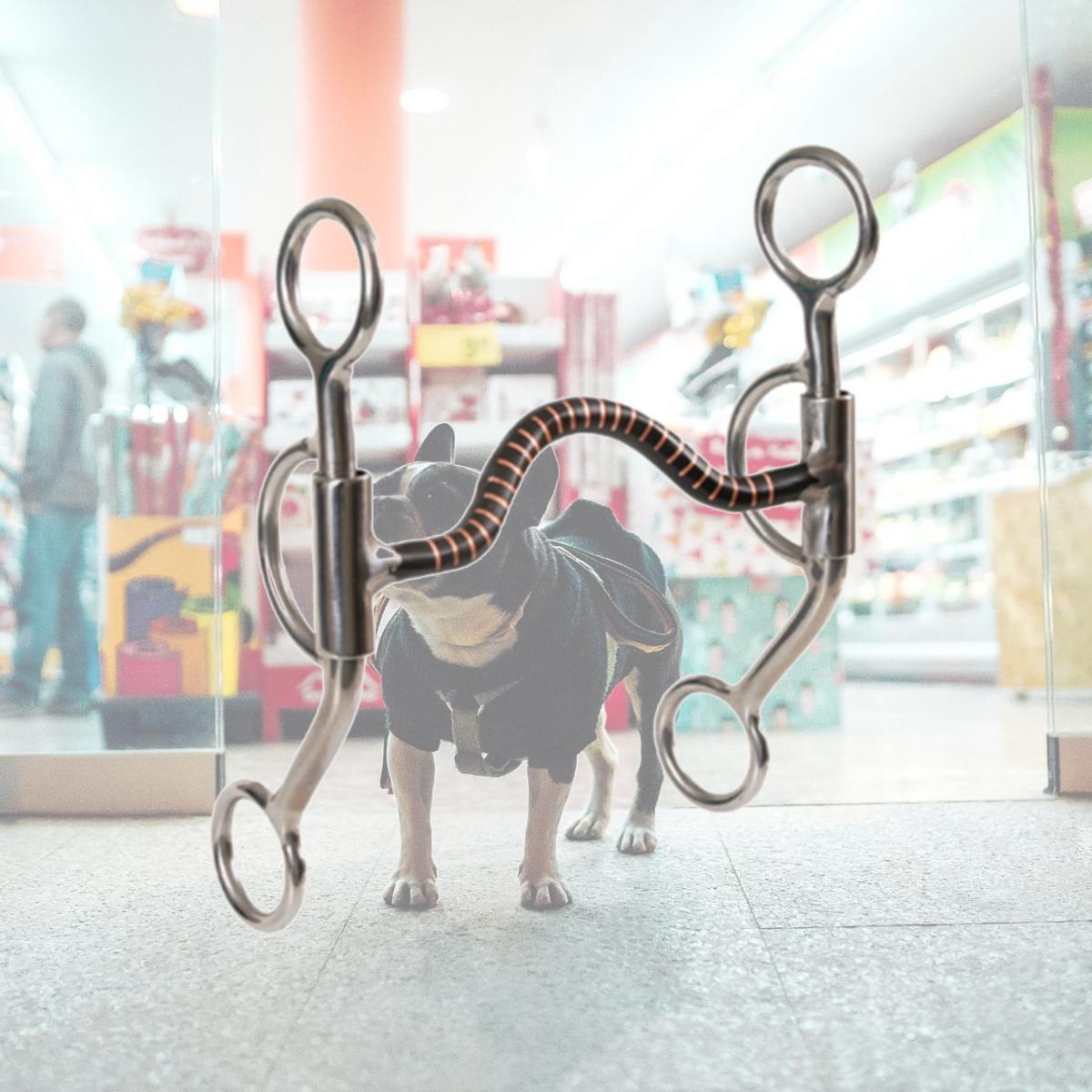 Picture of Jacks 11054 Stainless Steel Training Snaffle Bit