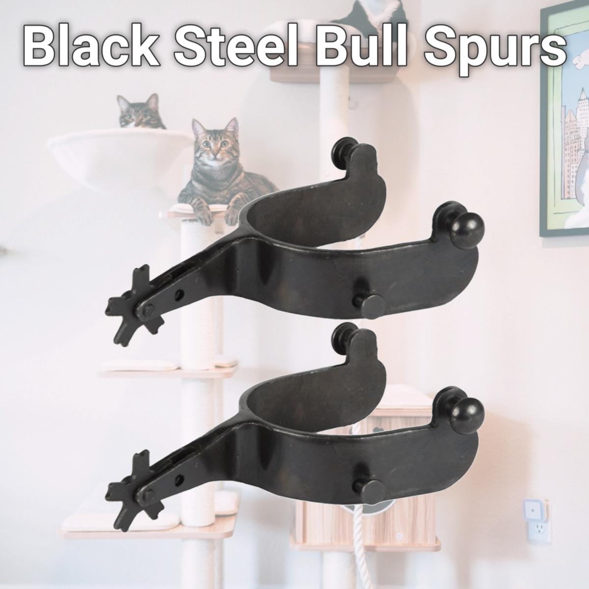 Picture of Jacks 11065 Black Steel Bull Spurs