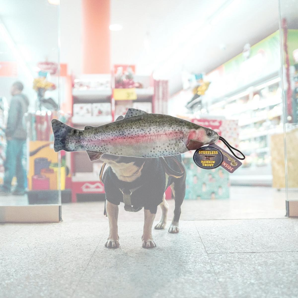 Picture of Steel Dog 54399 Rainbow Trout with Rope