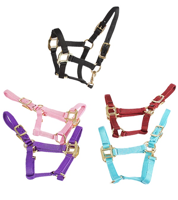 Deluxe Mini Halter, Burgundy - Large