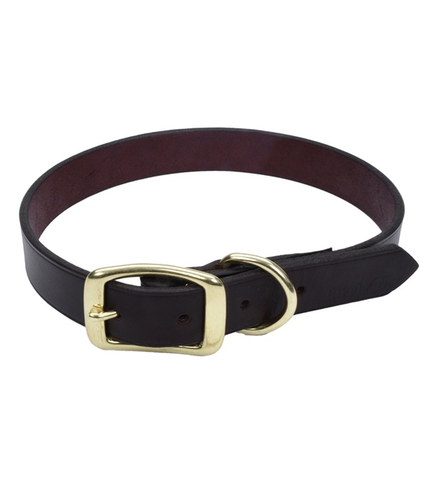 Coastal Pet 3811-16 Latigo Leather Town Dog Collar with Solid Brass Hardware - 0.62 x 16 in.