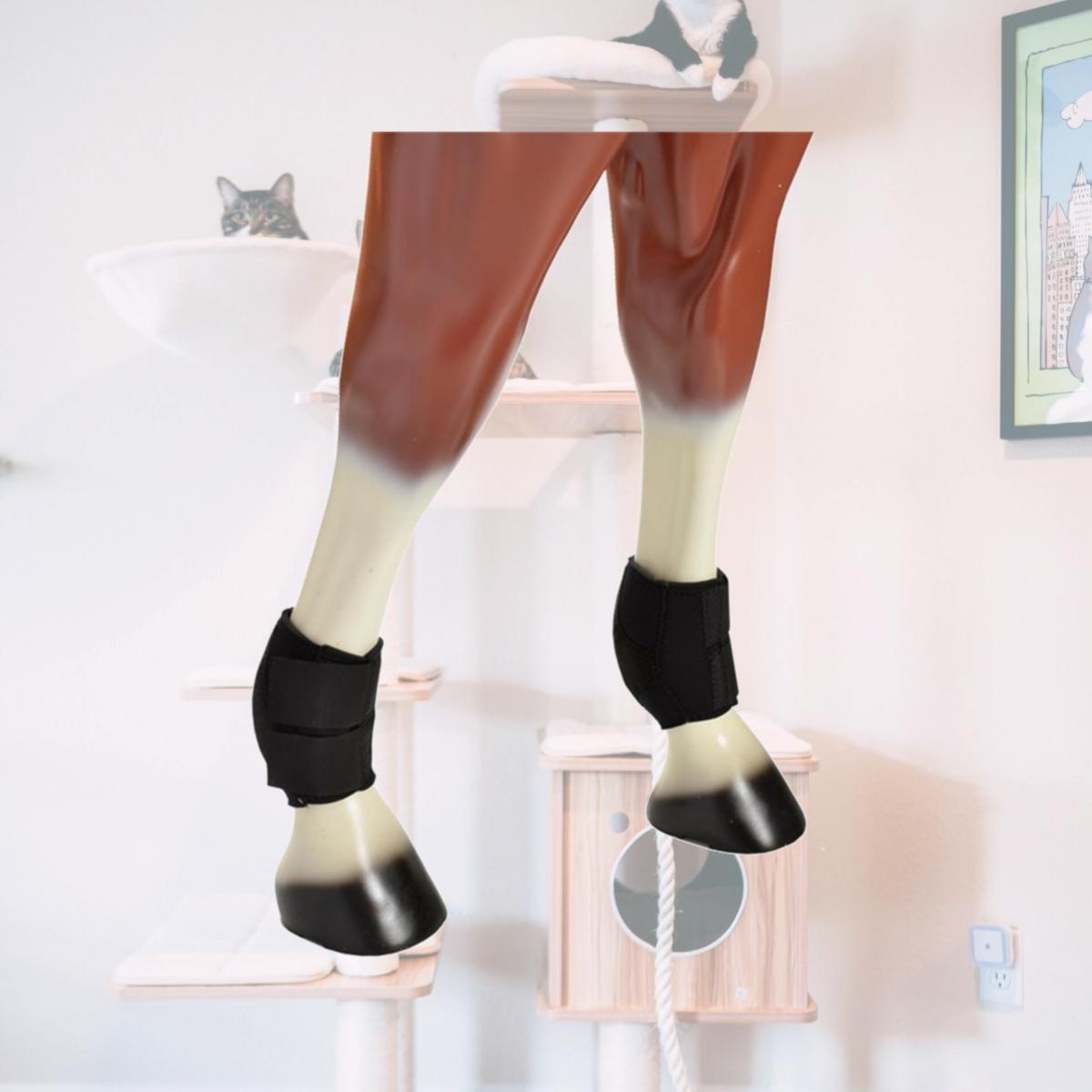Picture of Jacks T5220 Neoprene Run Down Sesamoid Boots