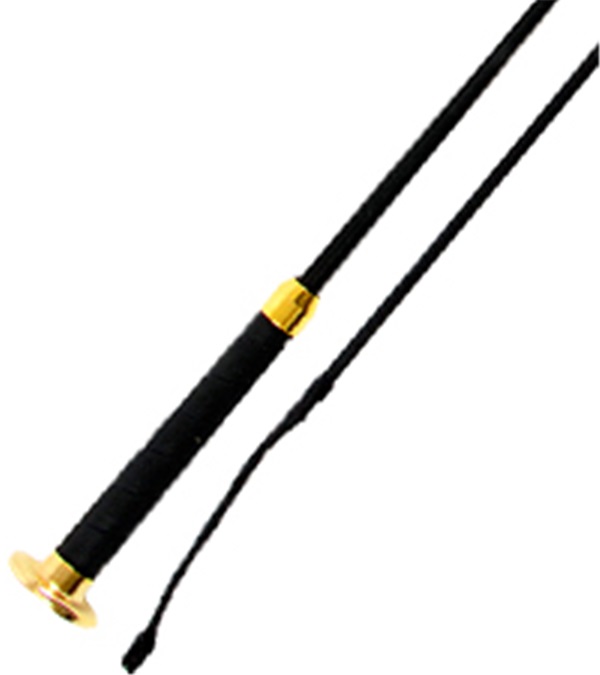 Picture of Jacks 1534-36 36 in. Dressage Whip with Flat Cap - Black
