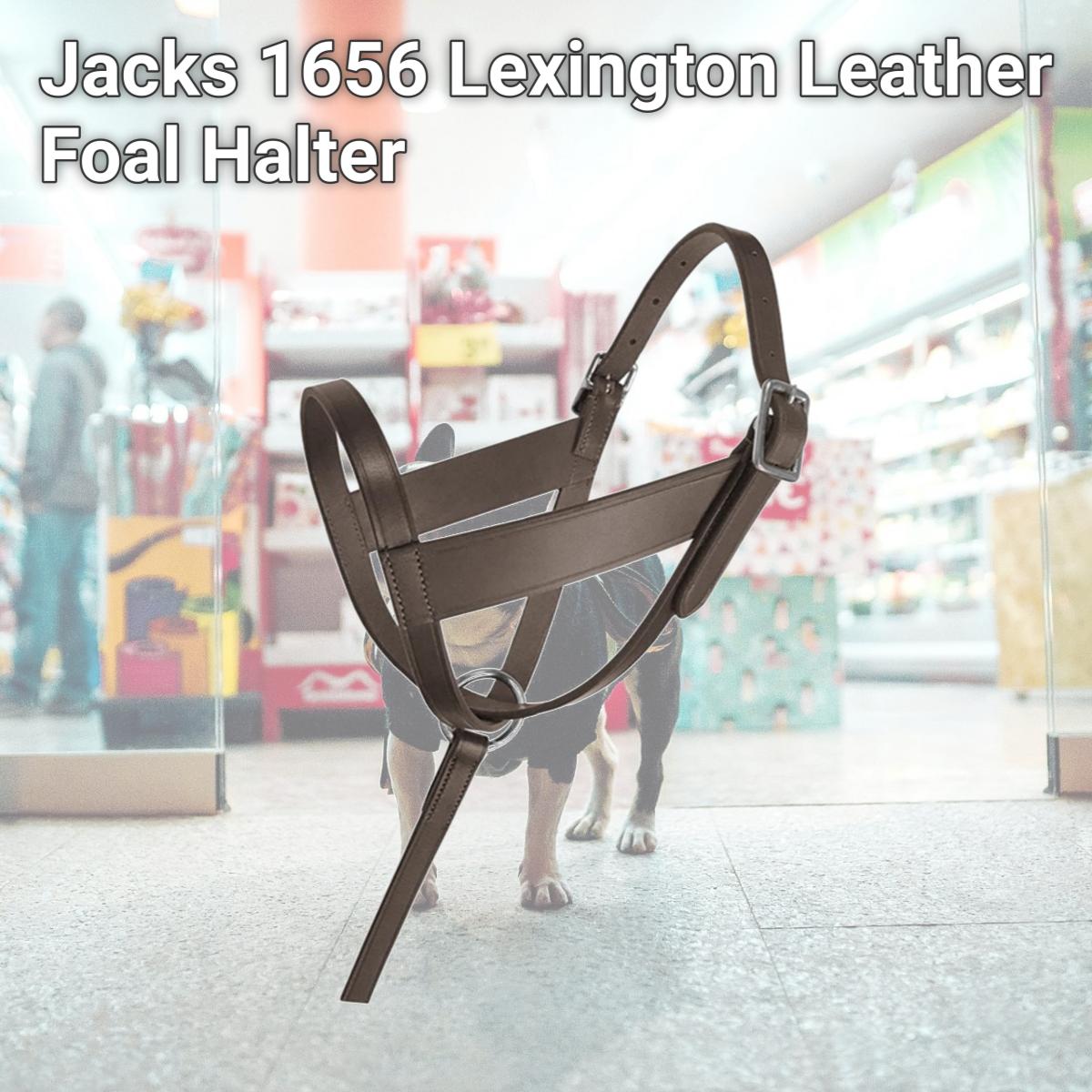 Picture of Jacks 1656 Lexington Leather Foal Halter