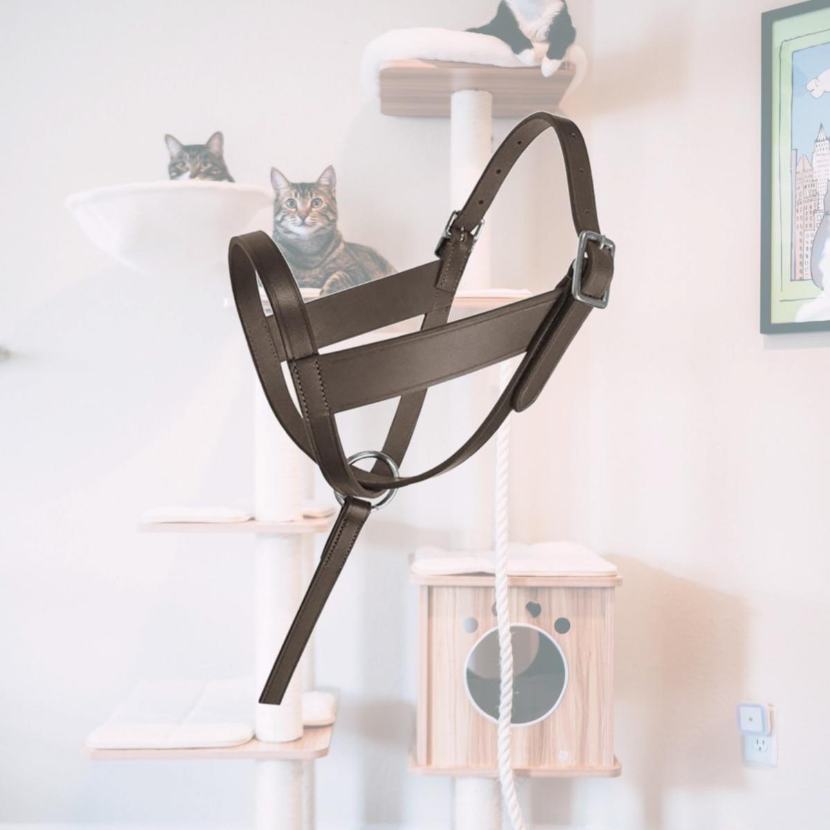 Picture of Jacks 1656 Lexington Leather Foal Halter