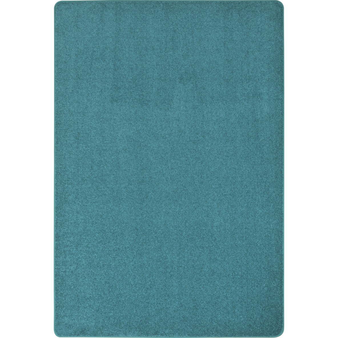 4 x 6 ft. Endurance Rectangle Area Rug  Mint