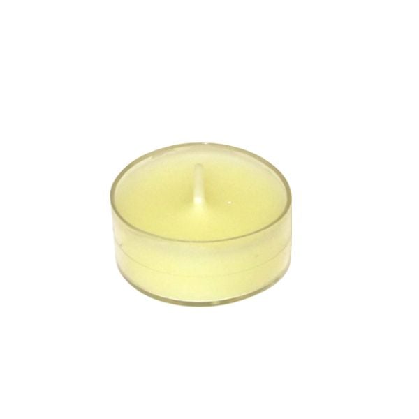 CTZ-005-12 Tealight Candles, Ivory - 600 Piece