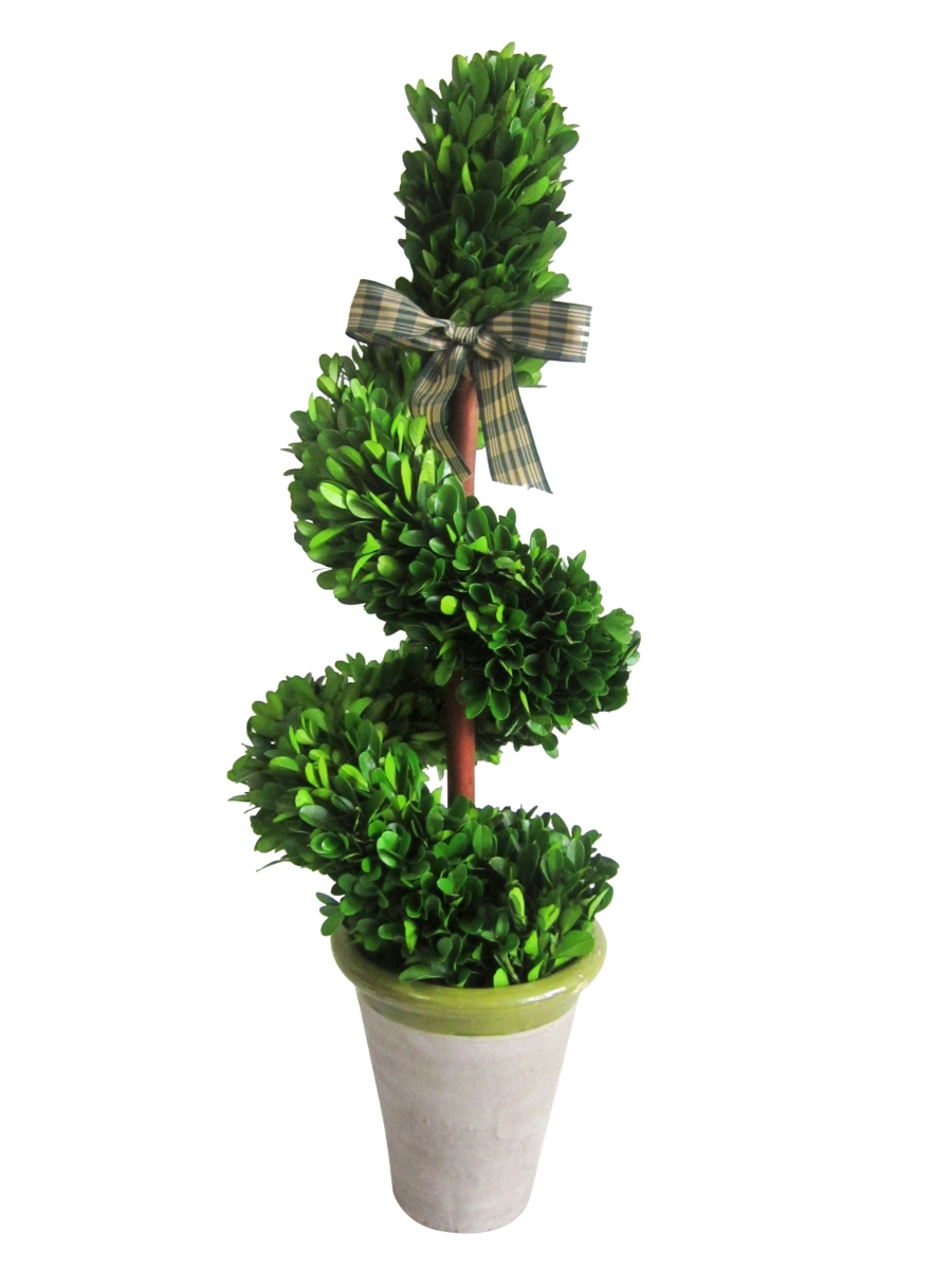 23 in. Boxwood Rotate Topiary Tree