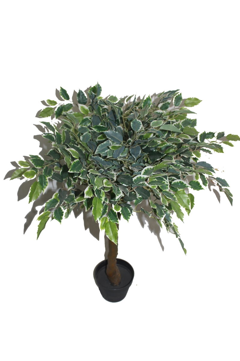 Picture of Jeco HD-BT136 36 in. White Banyan Tree