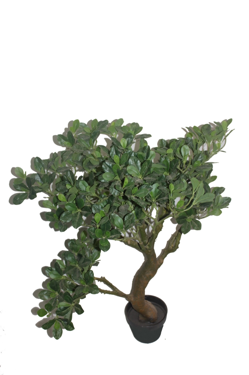 36 in. White Fortune Tree