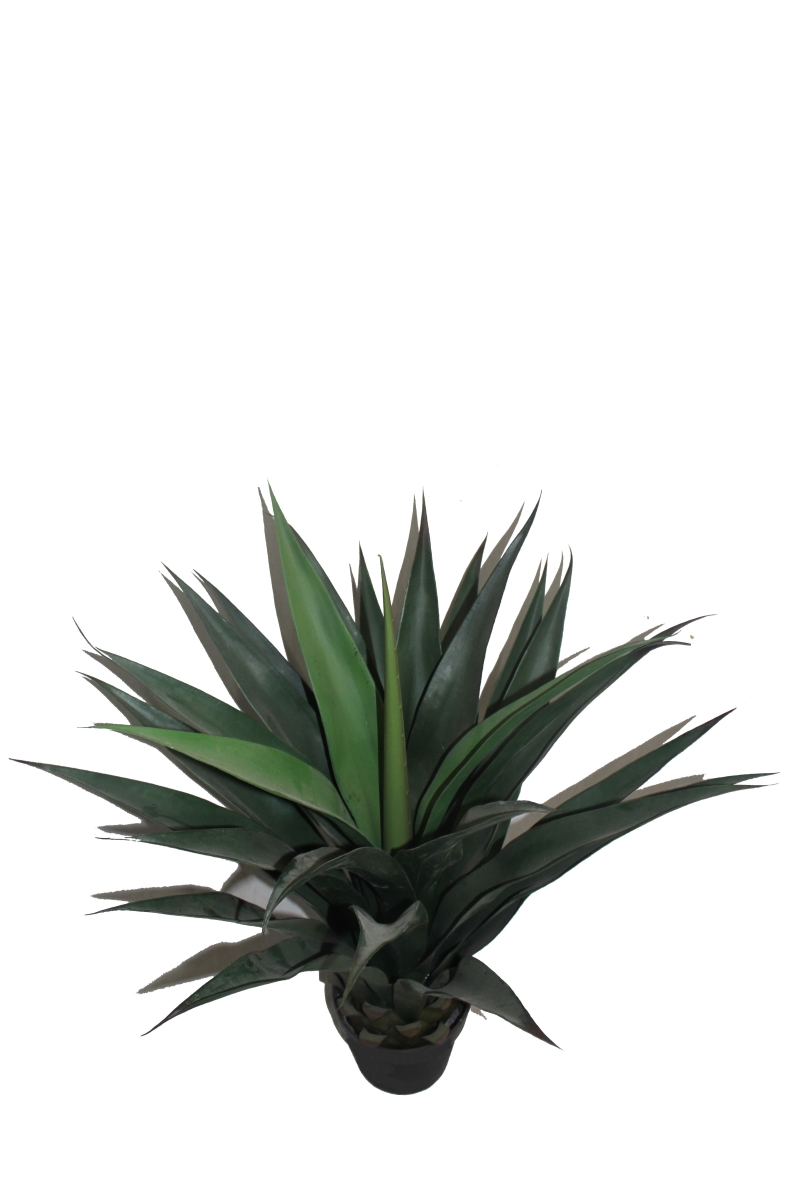 40 in. Gladiolus Potted Tree