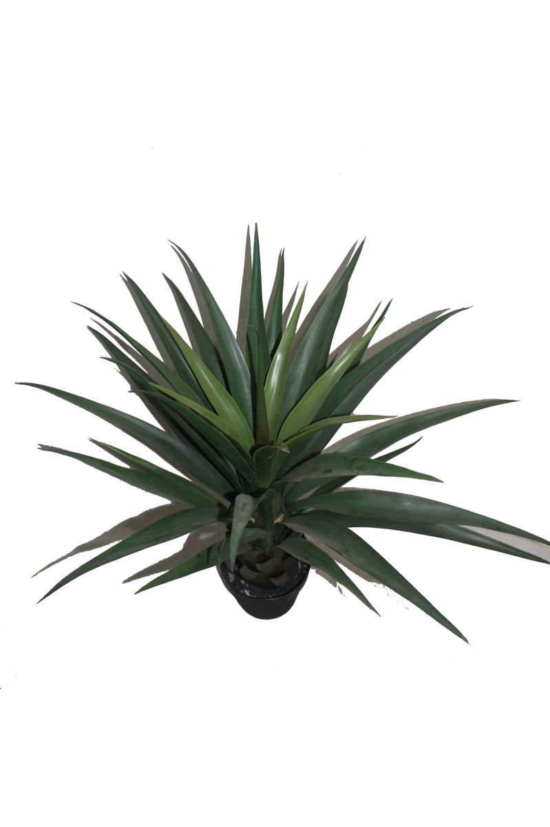 31 in. Gladiolus Potted Tree