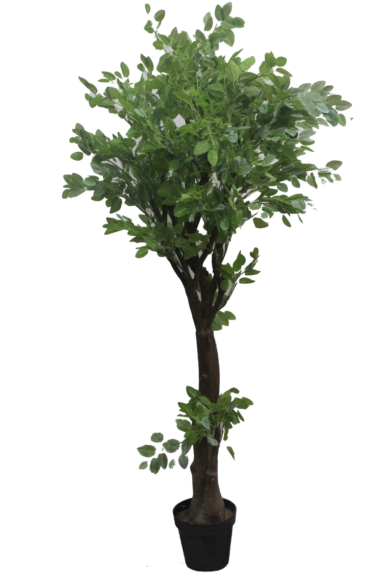 63 in. Chinese Next Tree