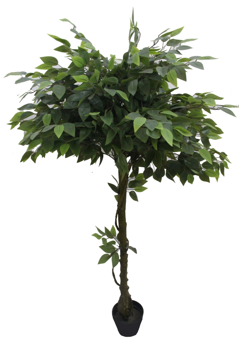 Picture of Jeco HD-BT143 63 in. Glossy Banyan