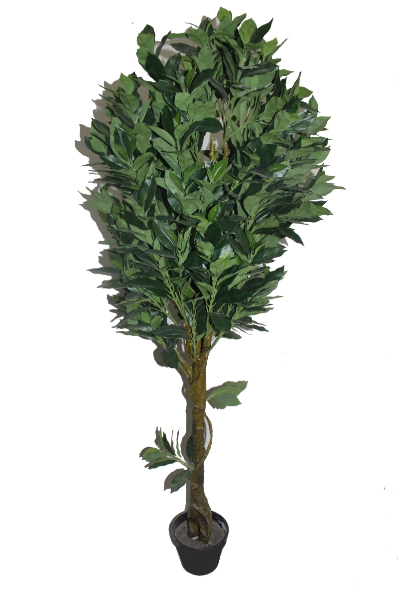 65 in. Fortune Tree