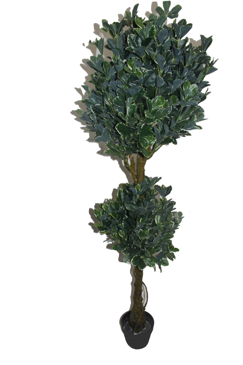 59 in. White Edge Fortune Tree