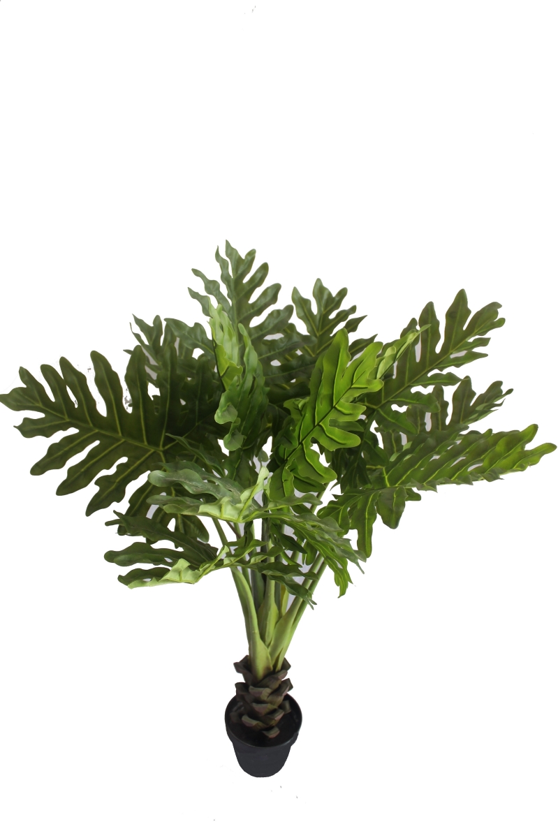 HD-BT148 47 in. Tropical Shell Leaf Tree